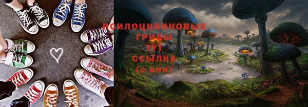 кристаллы Абаза