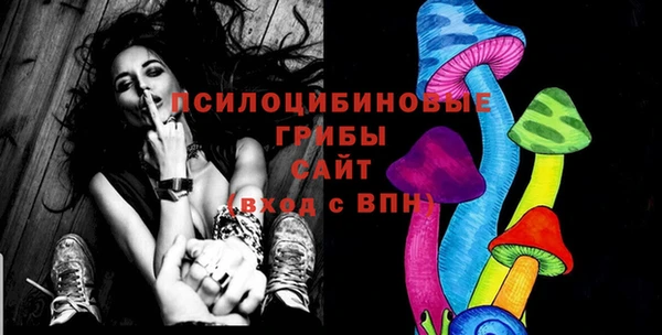 гашик Абинск