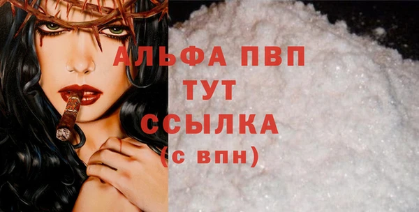 гашик Козловка