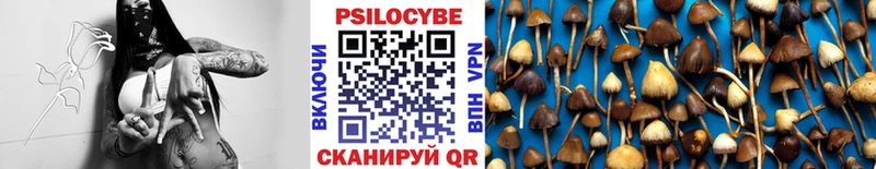 купить закладку  Людиново  Псилоцибиновые грибы ЛСД 