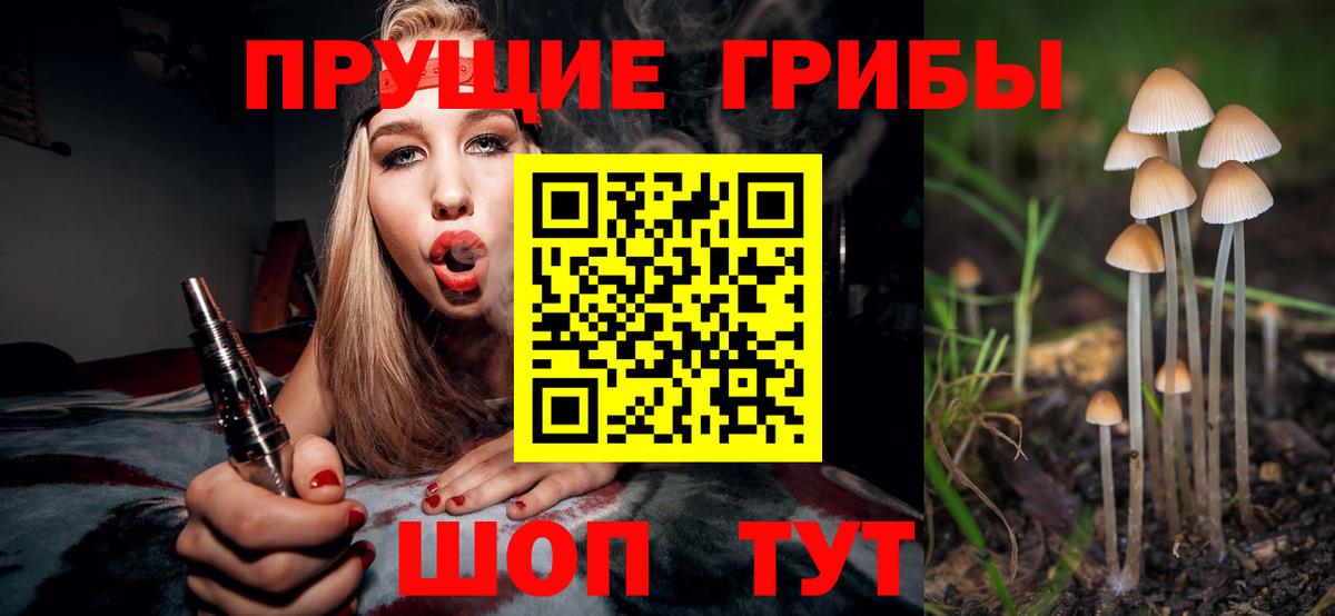 продажа наркотиков  Галлюциногенные грибы Cubensis  Вход с VPN  Людиново 